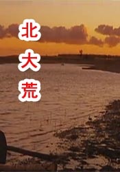 精品一区二区影院在线