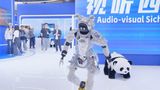 重口调教vk